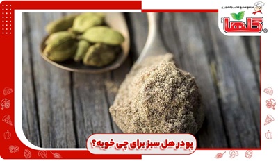 پودر هل سبز برای چی خوبه؟ از لاغری تا پوست درخشان با این ادویه شگفت‌انگیز!